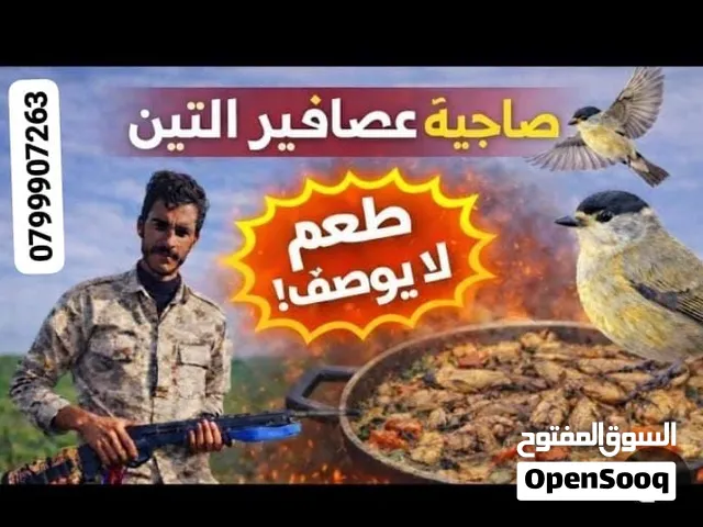 اطلب عصافير التين لبنانية