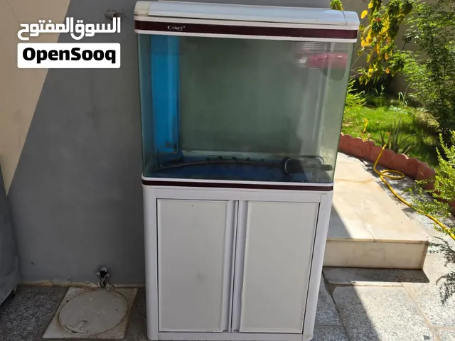 حوض سمك بايو
