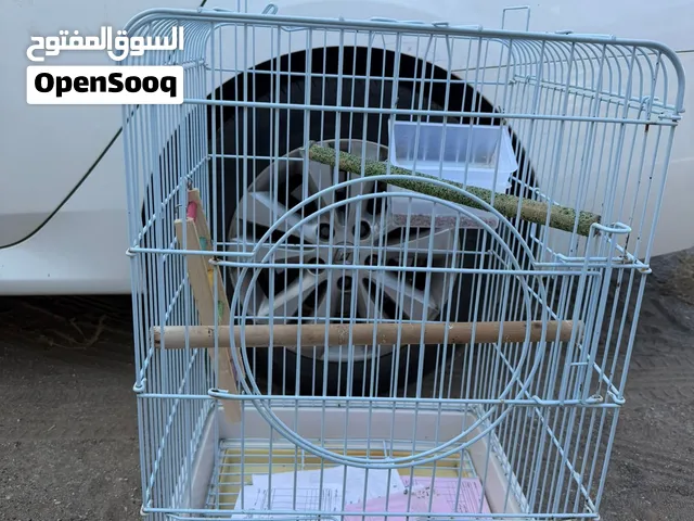 Cage for parrots and birds with a seed.   قفص ببغاء وطيور مع ألعاب وطعام