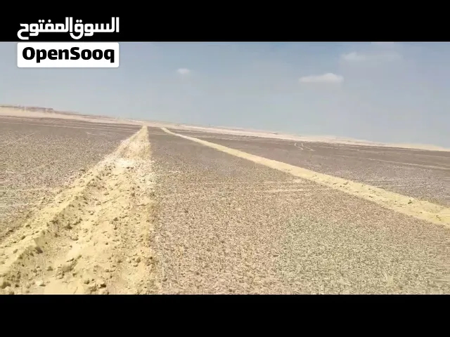ارض زراعيه 40 فدان علي طريق الجيش بعد حرم الجيش مباشرة