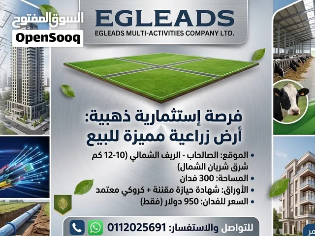قطعة أرض زراعية بالريف الشمالي