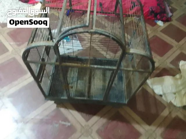 cage for sell 40 bd