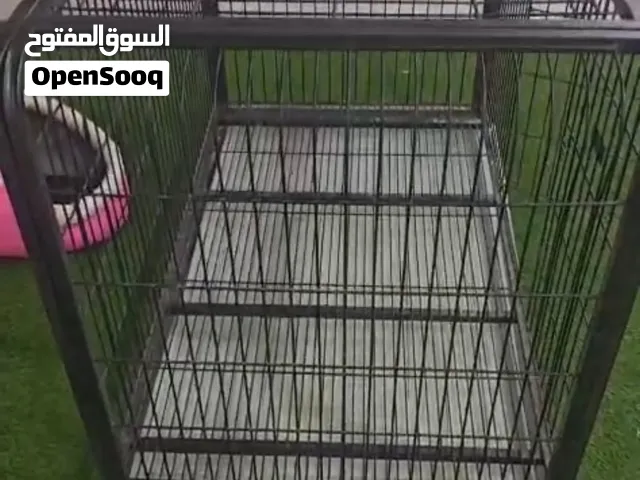 اقفاص شيه جديد للبيع