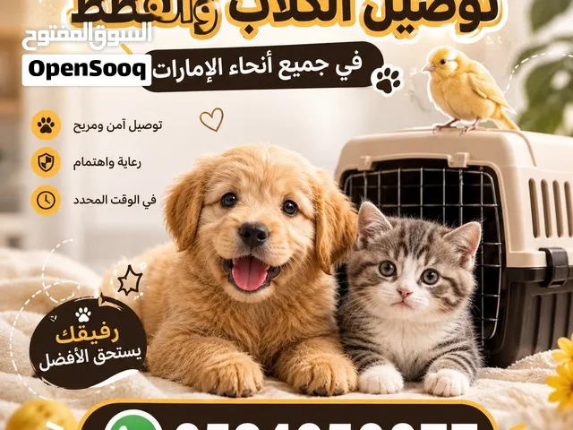 مندوب توصيل قطط & كلاب & طيور