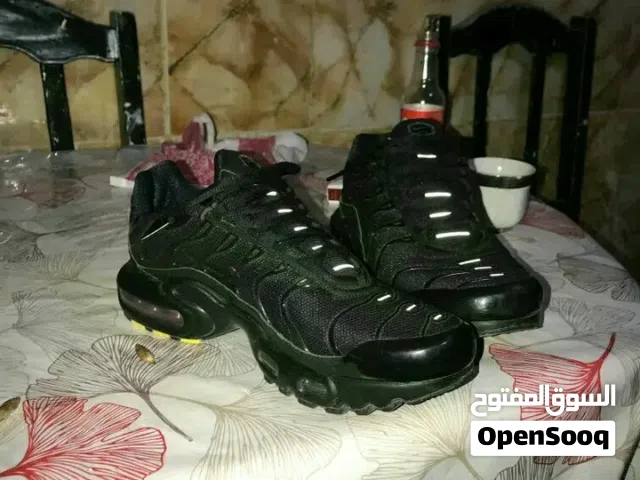 cobra original N40 M 2025