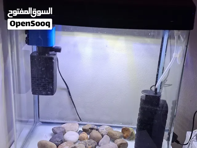 حوض سمك + فلتر + مضخه اوكسجين + احجار + جهاز   يطلع بكتيريا نافعه + فلتر اسفنجه