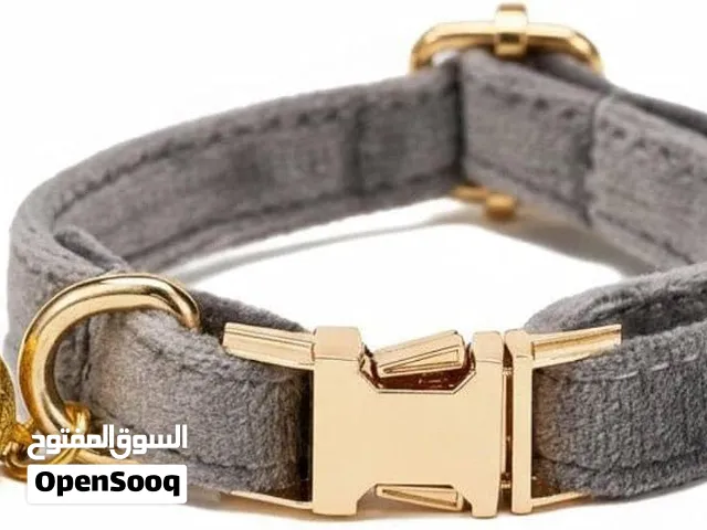 طوق كلاب او قطط