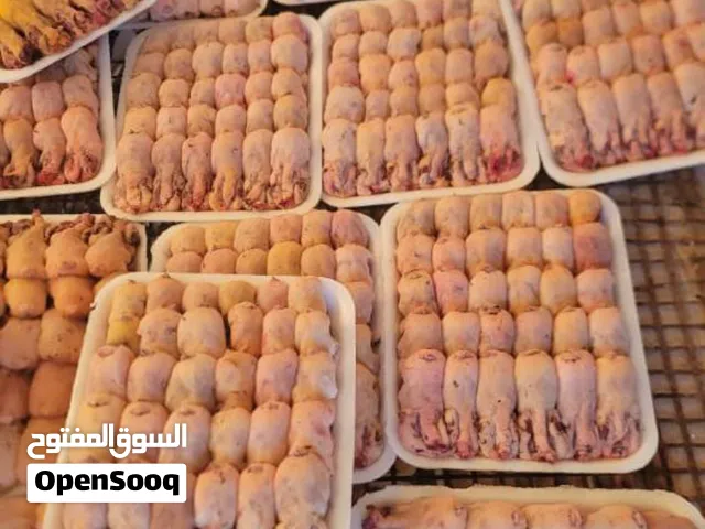 عصافير تين فرش فل شحم