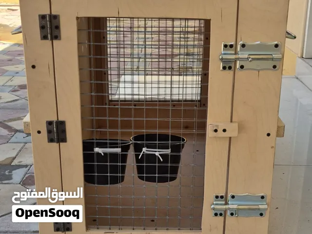 IATA‐Approved Wooden Travel Box for Large Dogs