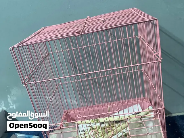 للبيع قفص 3دينار