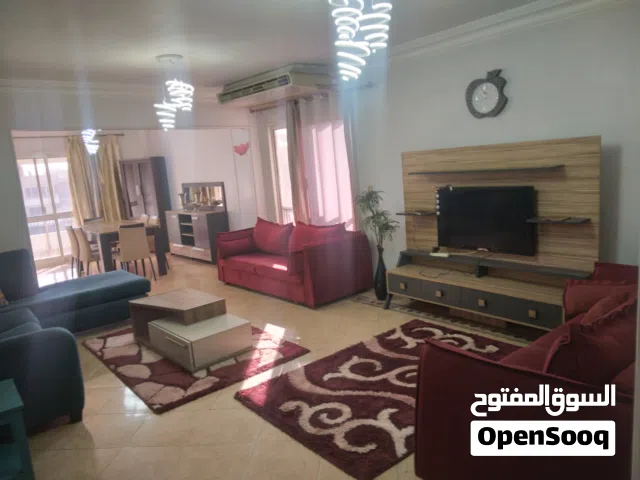 Furnished Daily in Cairo Nasr City