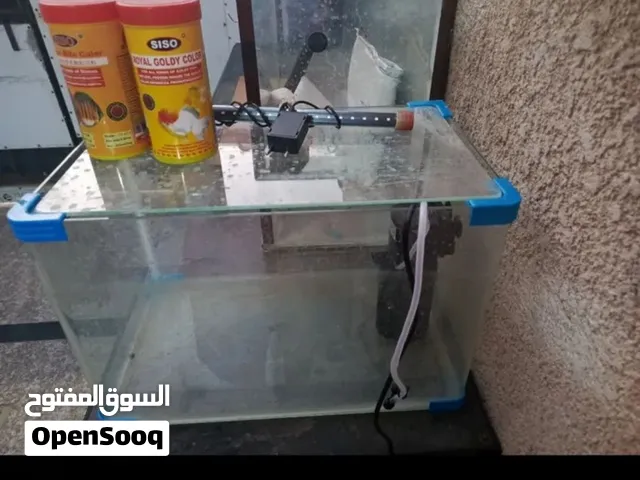 حوض سمك زجاج متين مع اكل خشن وناعم ولد اوكسجين  هيتر للماء السعر 50