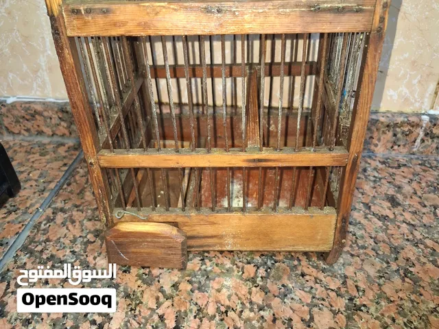 قفصين حسون سعر بلاااااش