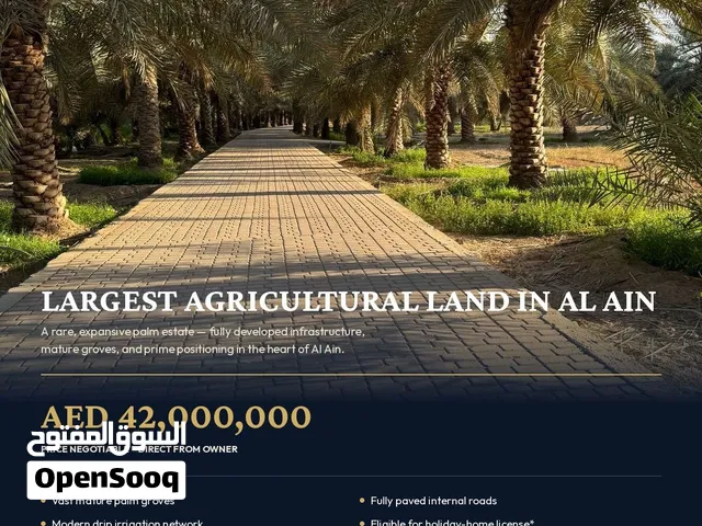 أكبر أرض زراعية في مدينة العين فرصة استثمارية نادرة