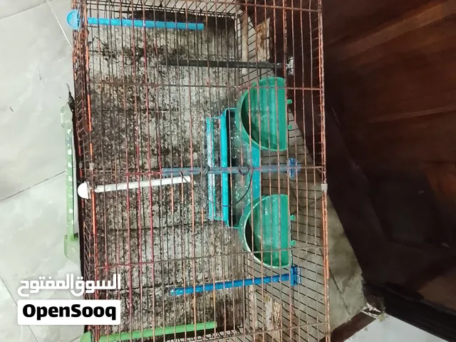 مطار  بمشتملاته كلها للبيع