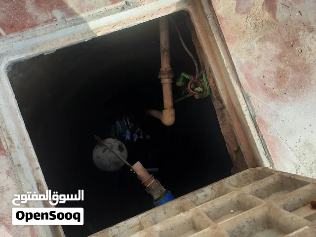 تنضيف فستكيات