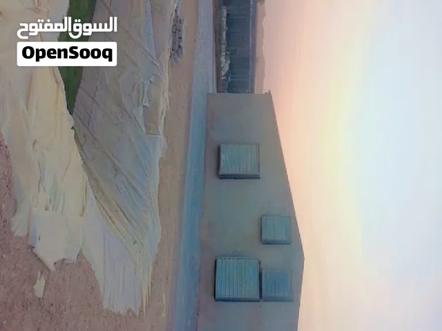 عزبة للبيع في منطقة  الساد الزعله يوجد بها اثنين عنابر تربيه دواجن مساحة العنبرالاول 16x8 مساحة  الع