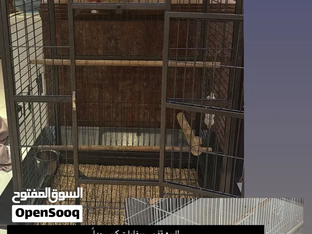 قفص ببغاوات كبير جداً ونظيف + قفص 601 جديد غير مستعمل مع كامل الملحقات من مجاثم و صحون الاكل