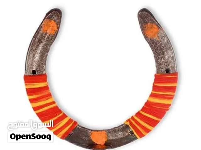 Energized Lucky Horseshoe for Home