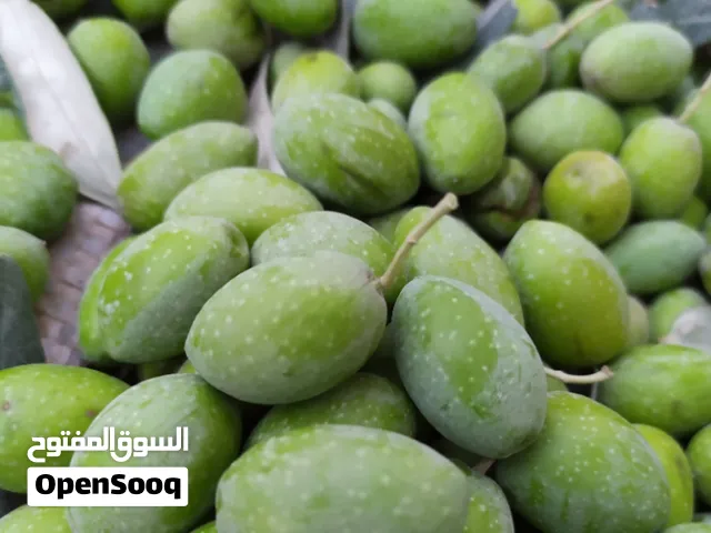 زيتون اخضر نخب اول