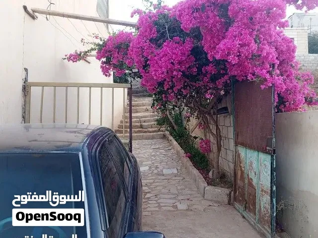 بيت للبيع جريبا