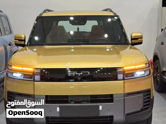 New BYD Other in Baghdad