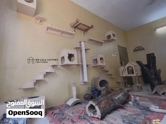 Cat sitter CatCare Cat Boarding Cat Hotel Cat Vacation  Cathomecare
