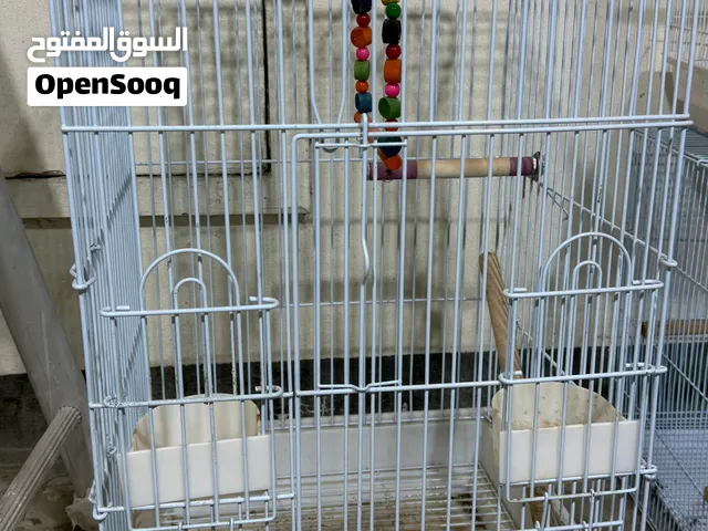 قفص حجم كبير