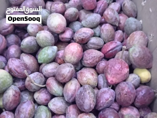 بيذام طازج بشكل يومي