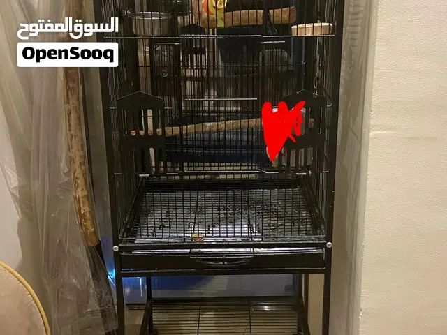Bird/Parrot Cage with rack shelf and movables wheels(Black) (GOOD FOR MEDIUM SIZED BIRDS)