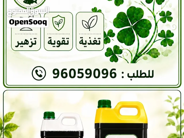 شتلات تين وسماد سمكي تسميد