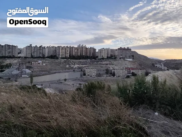ارض واسعة تصلح لاكتر من مشروع