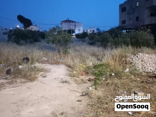 قطعة أرض للبيع اربد زبدة فركوح من المالك مباشرة
