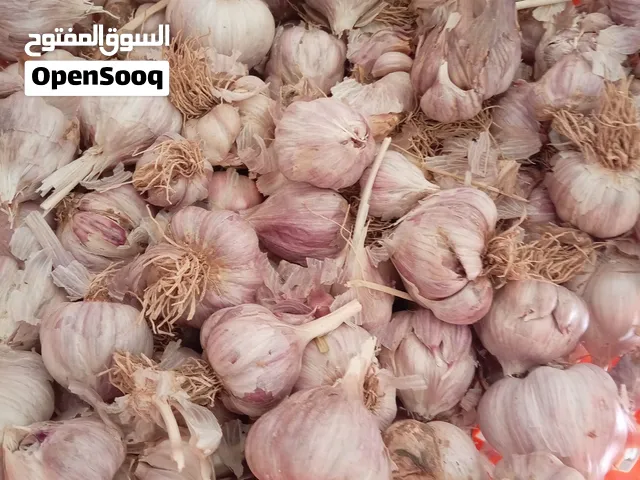 ثوم عماني إنتاج 2026