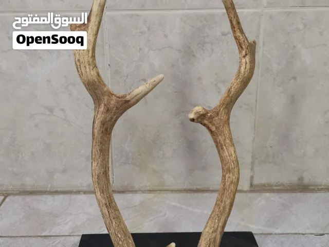 قرون طبيعيه مع القاعدة