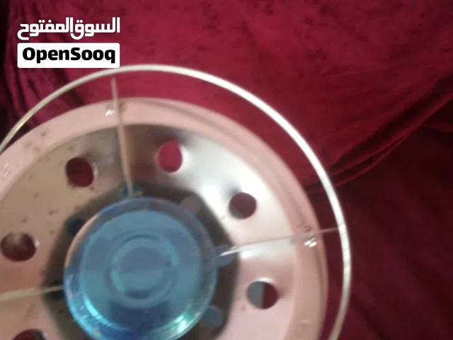شعلة بوطاجاز  الحجم الوسط