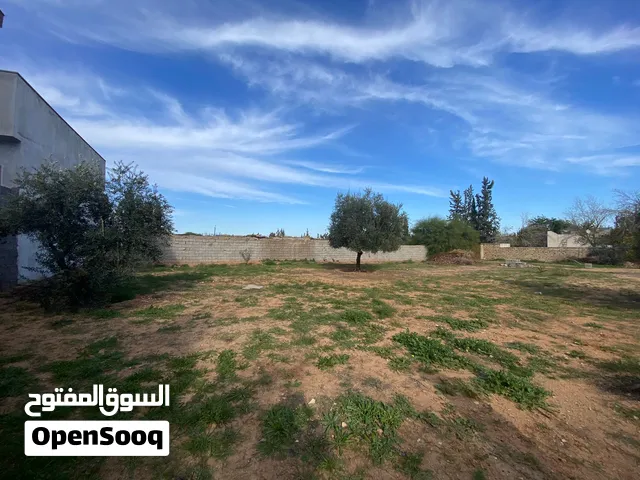 قطعه ارض للبيع مساحتها 500 مكانها الباعيش