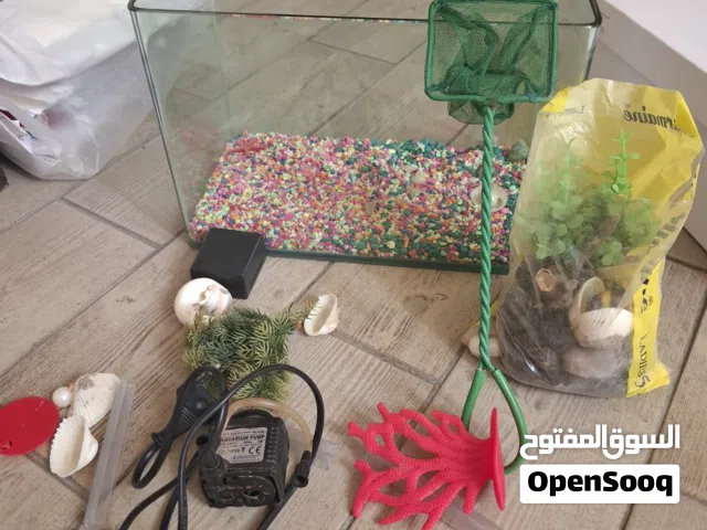 حوض سمك مع اكسسواراته