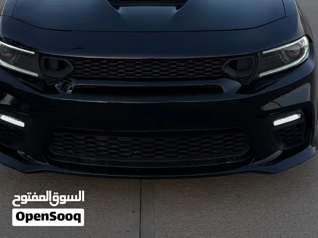 دعامية وايد بدي