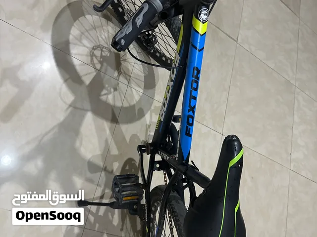 Foxter 20-Inch Mountain Bicycle