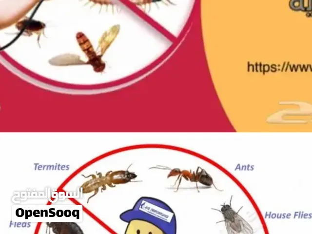 شركة مكافحة حشرات صراصير عناكب عقارب برص وزغ ناموس نمل فأران بق بالرياض
