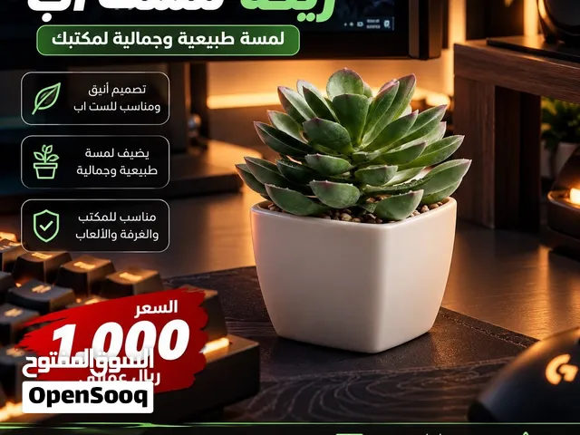 زينه للسيت اب