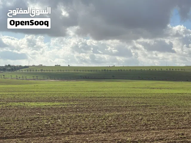 قطعة ارض مميزة و استثمارية ناجحة من المالك مباشرة ملاصقة للتنظيم اراضي ام العمد النجمية