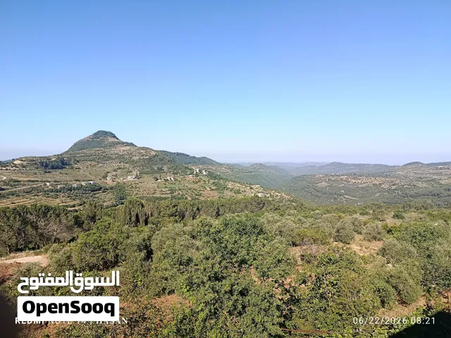 مزرعة قابلة للاستثمار في أي مشروع سياحي في منطقة القدموس