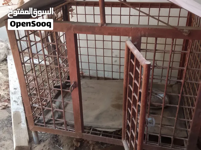 للبيع200دينار
