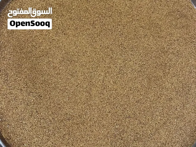 بذر قت عماني بالجمله