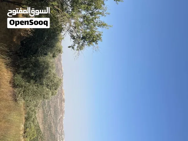 Mixed Use Land for Sale in Ramallah and Al-Bireh Atara