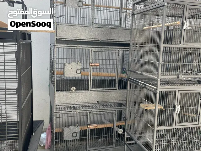 اقفاص للبيع