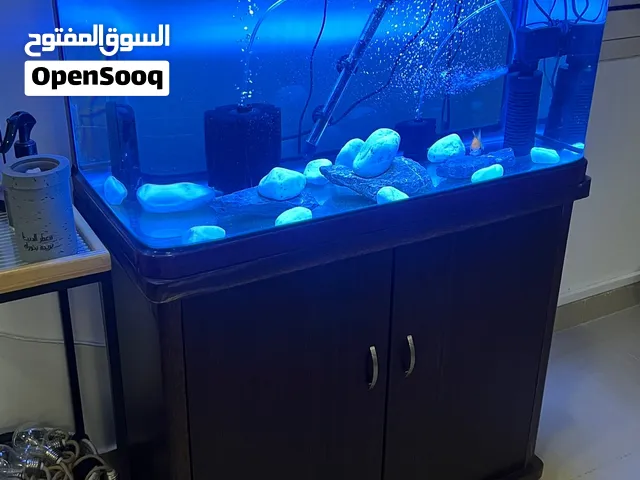 حوض سمك كبير