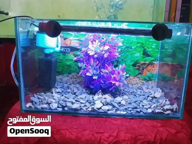 Aquarium 34Cm Complet
